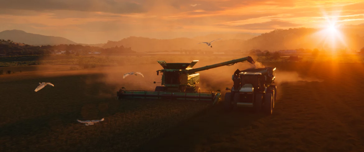 Sonnenuntergang in LS25